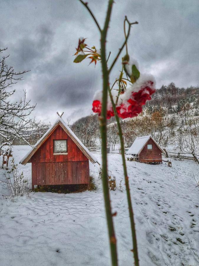 Log Cabin Uvac Nova Varos Ngoại thất bức ảnh
