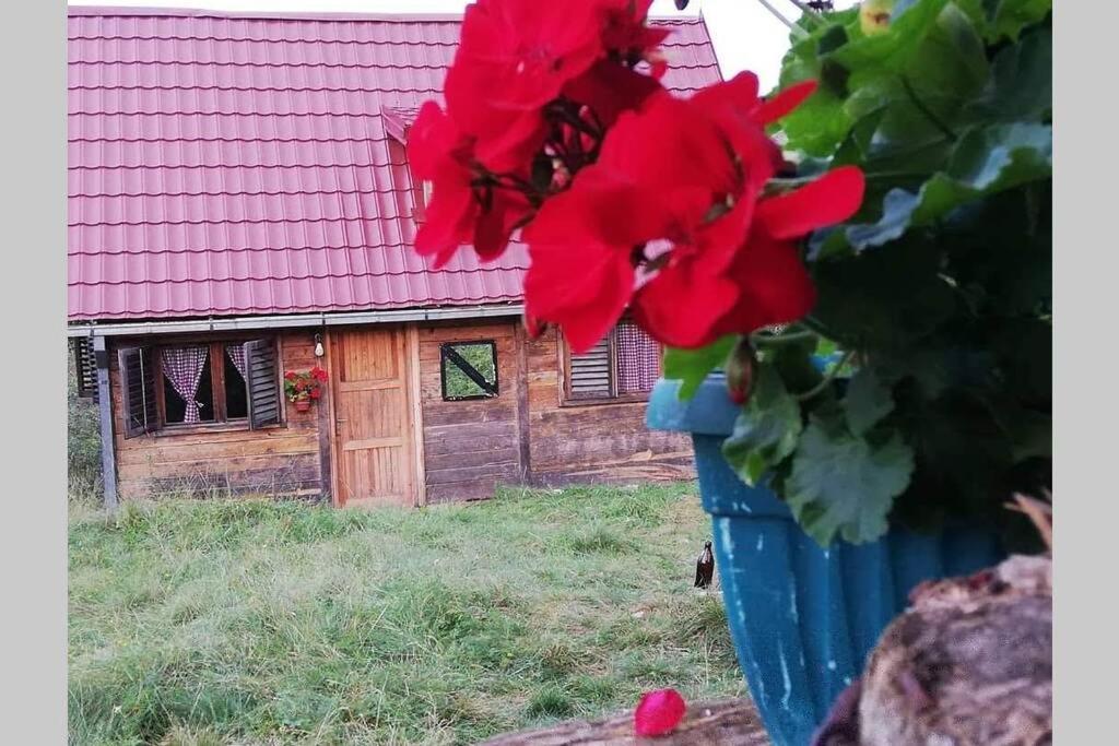 Log Cabin Uvac Nova Varos Ngoại thất bức ảnh