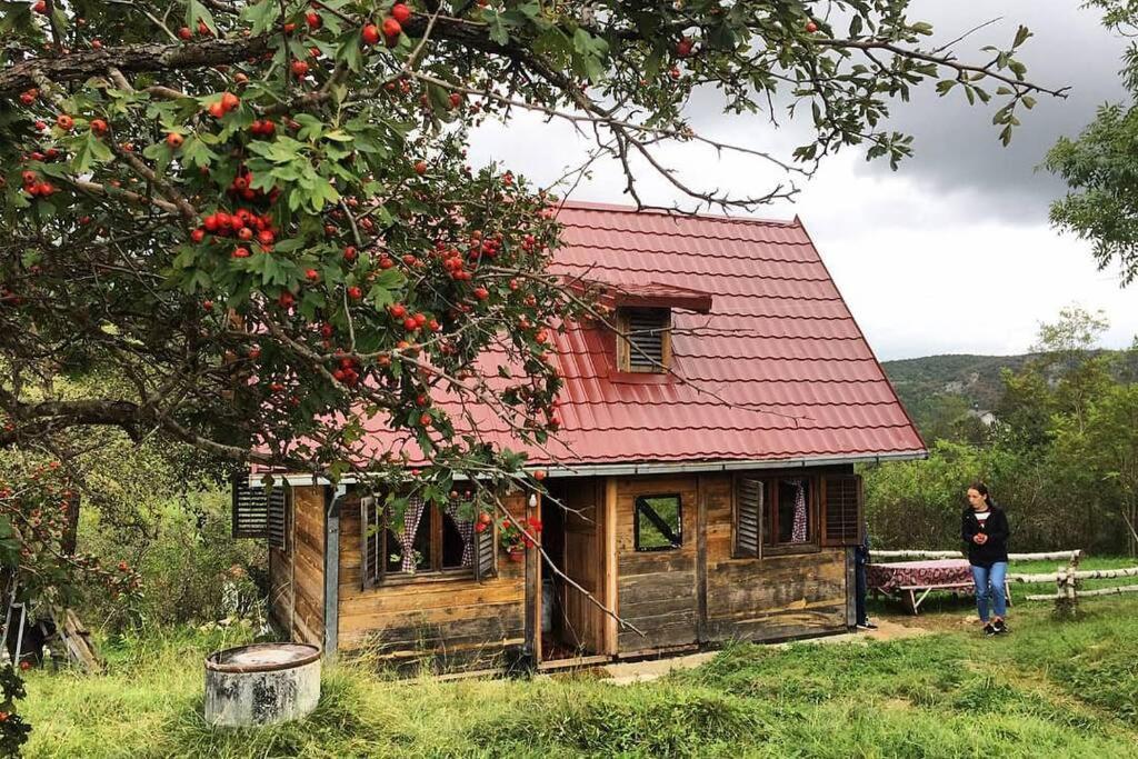 Log Cabin Uvac Nova Varos Ngoại thất bức ảnh
